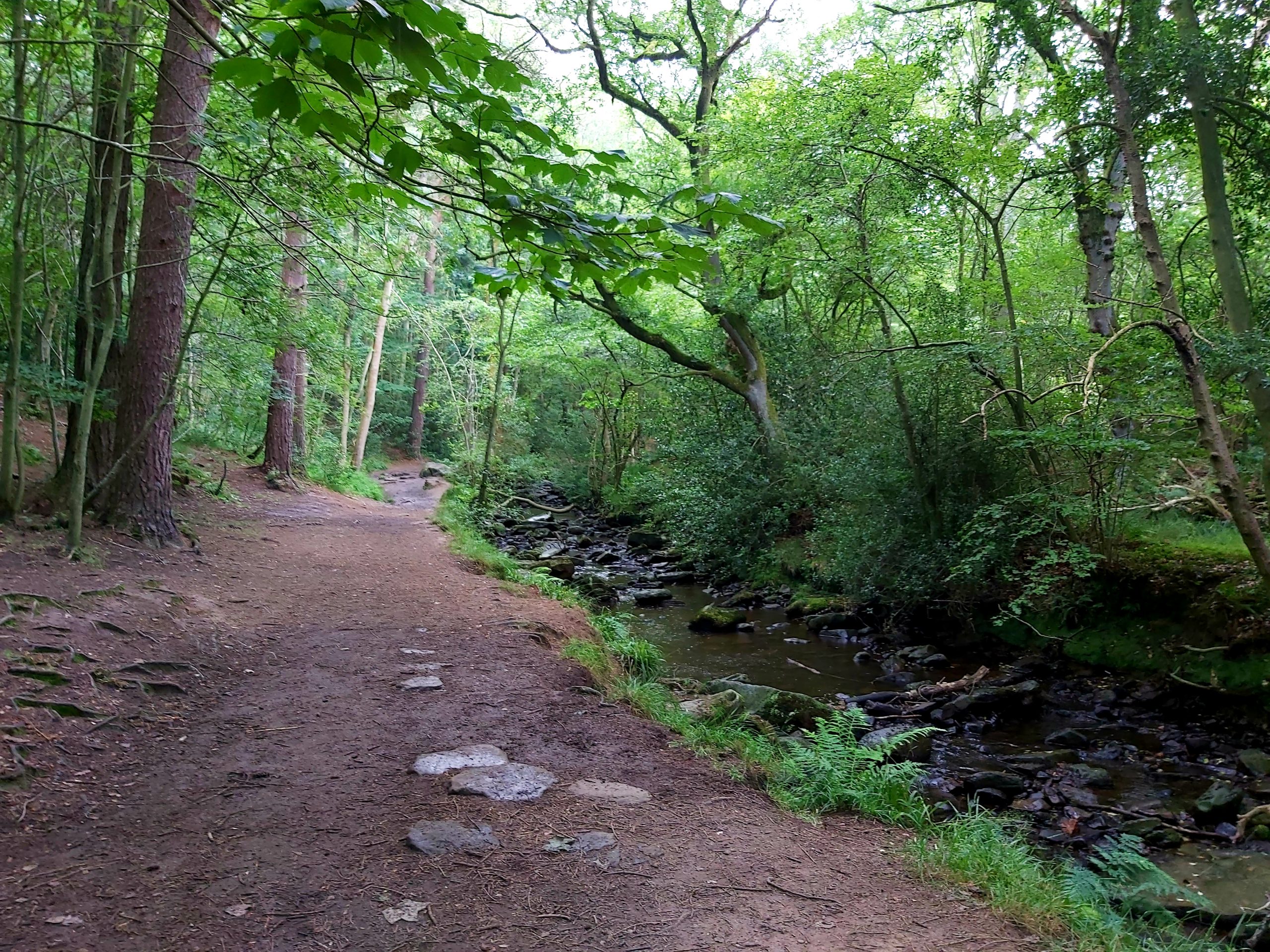 May Beck to Falling Foss - Muddy Boots Mummy