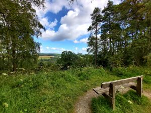 Stunning-viewpoint-woodcock-way-trail