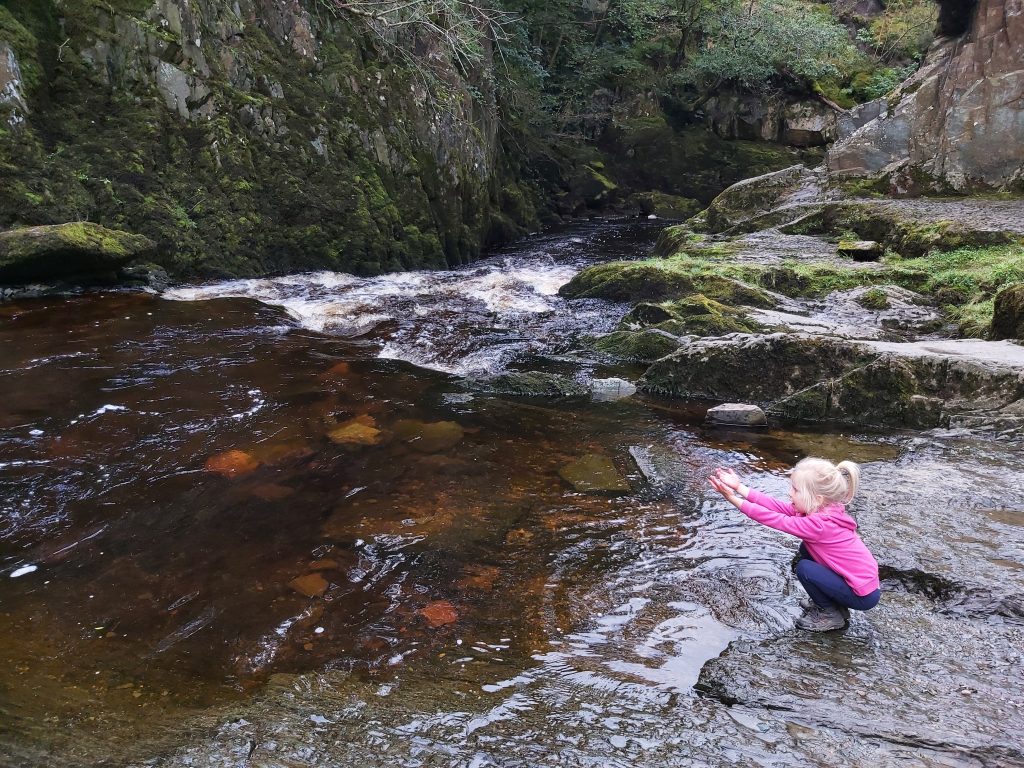 Ingleton-falls-Trail