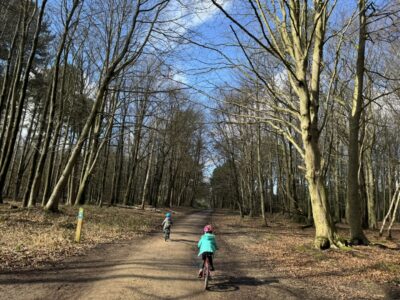 Maid Marion Cycle Trail- Sherwood Pines